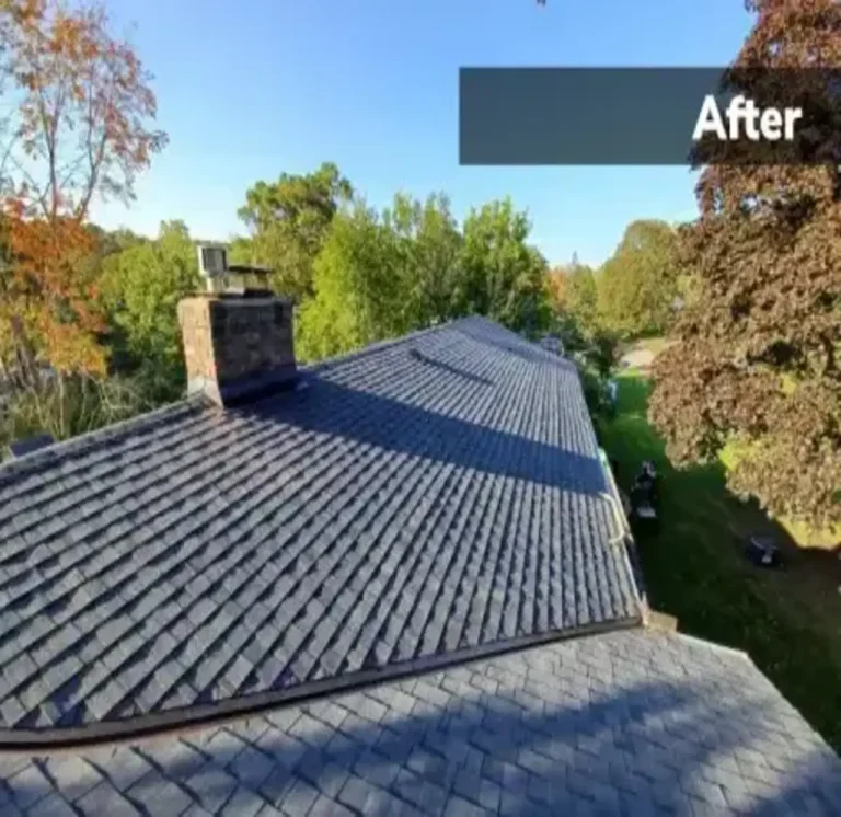 After leaky home repair